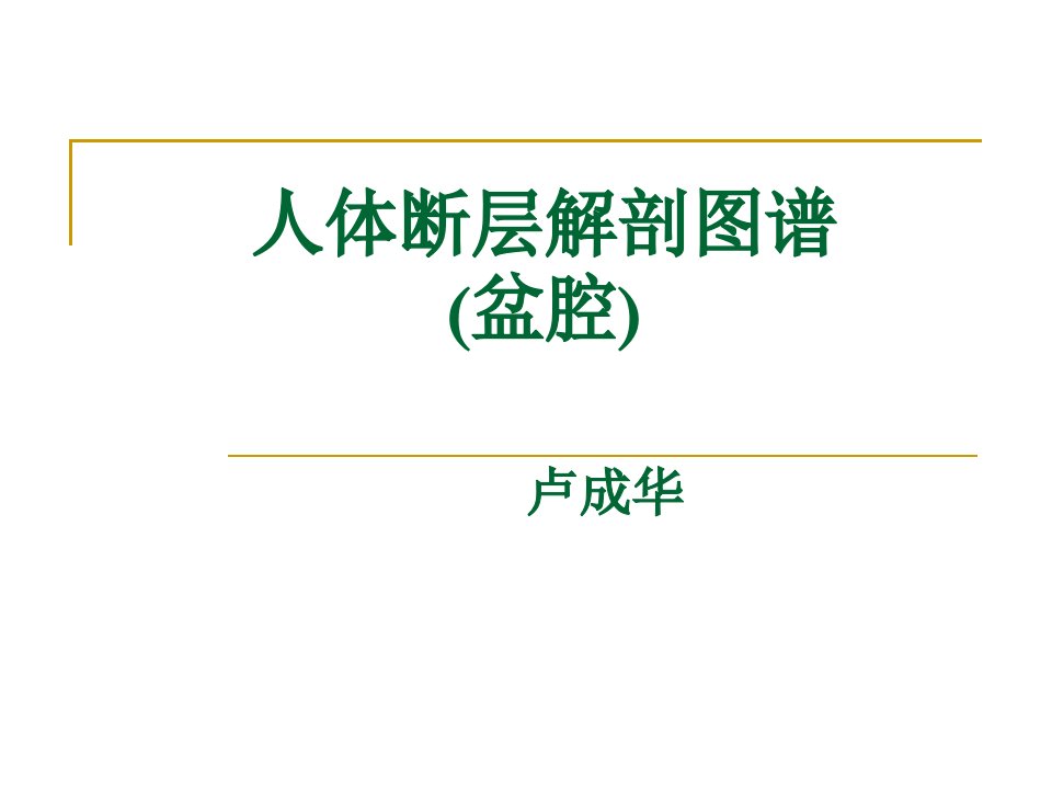 人体断层解剖图谱盆腔