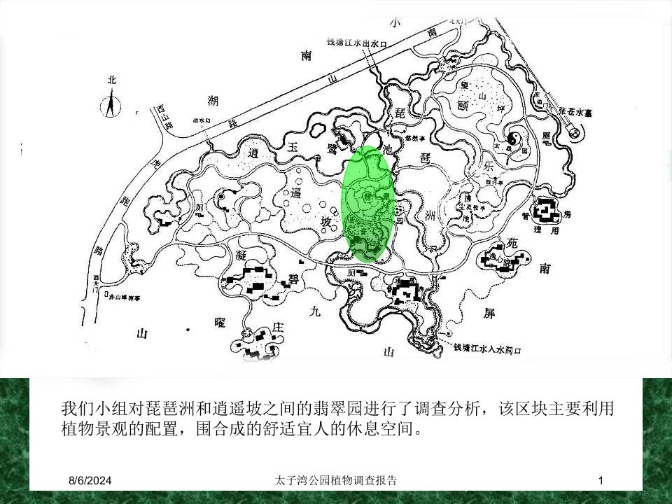 2021年太子湾公园植物调查报告讲义