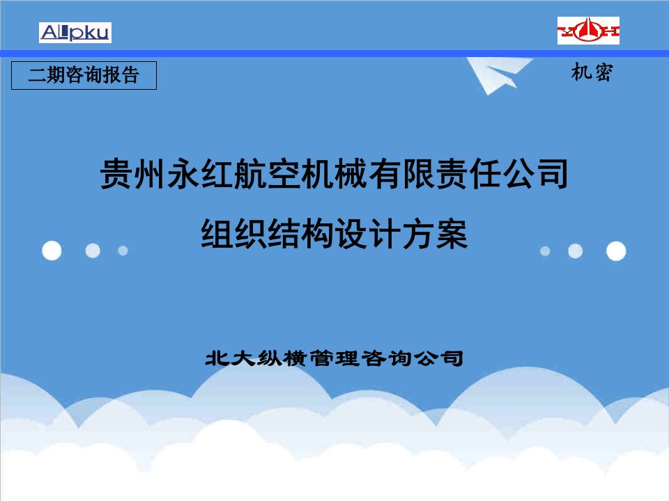 机械行业-贵州永红航空机械有限责任公司组织结构设计方案