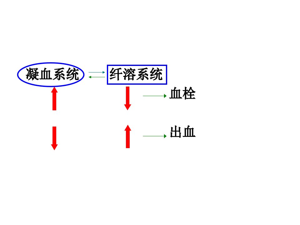 第28章作用于血液及造血器官的药物