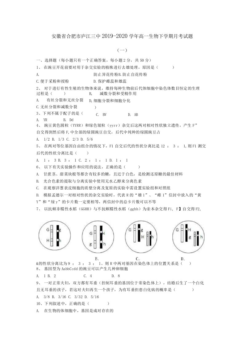 安徽省合肥市庐江三中2019