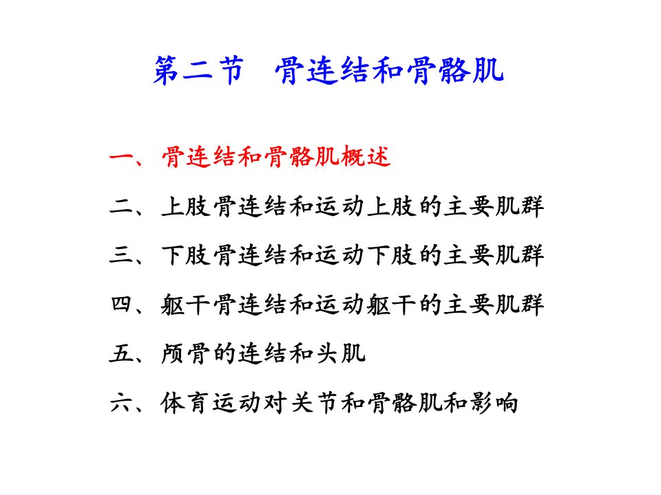 第三章运动系统2(1)