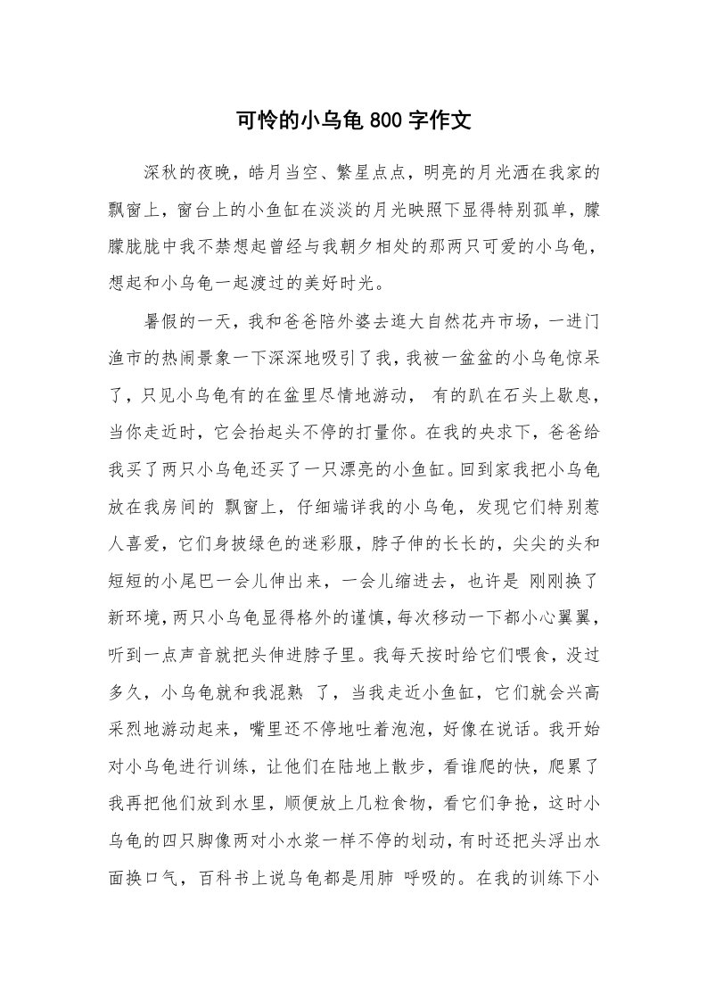 可怜的小乌龟800字作文