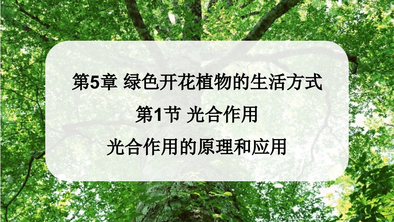 2023七年级生物上册第3单元生物圈中的绿色植物第5章绿色开花植物的生活方式第1节光合作用第2课时光合作用的原理和应用课件新版北师大版