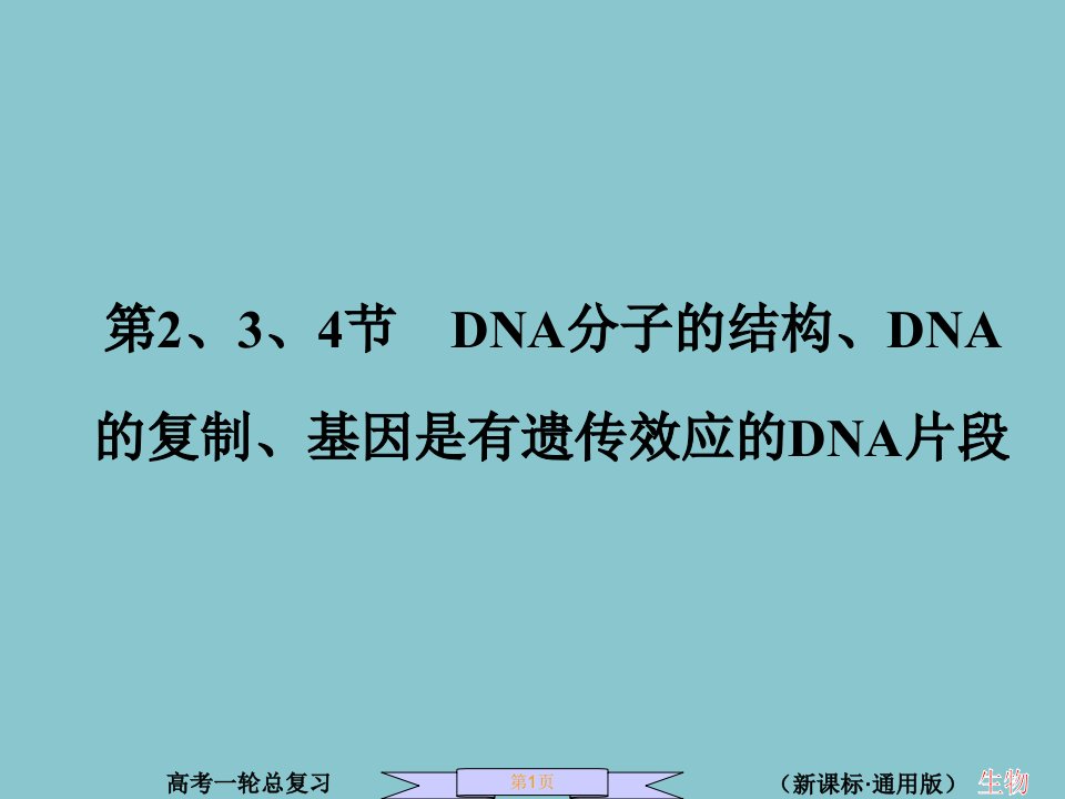 第4节DNA分子的结构、DNA的复制、基因是有遗传效应的DNA片段