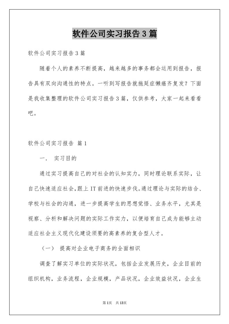 软件公司实习报告3篇范文