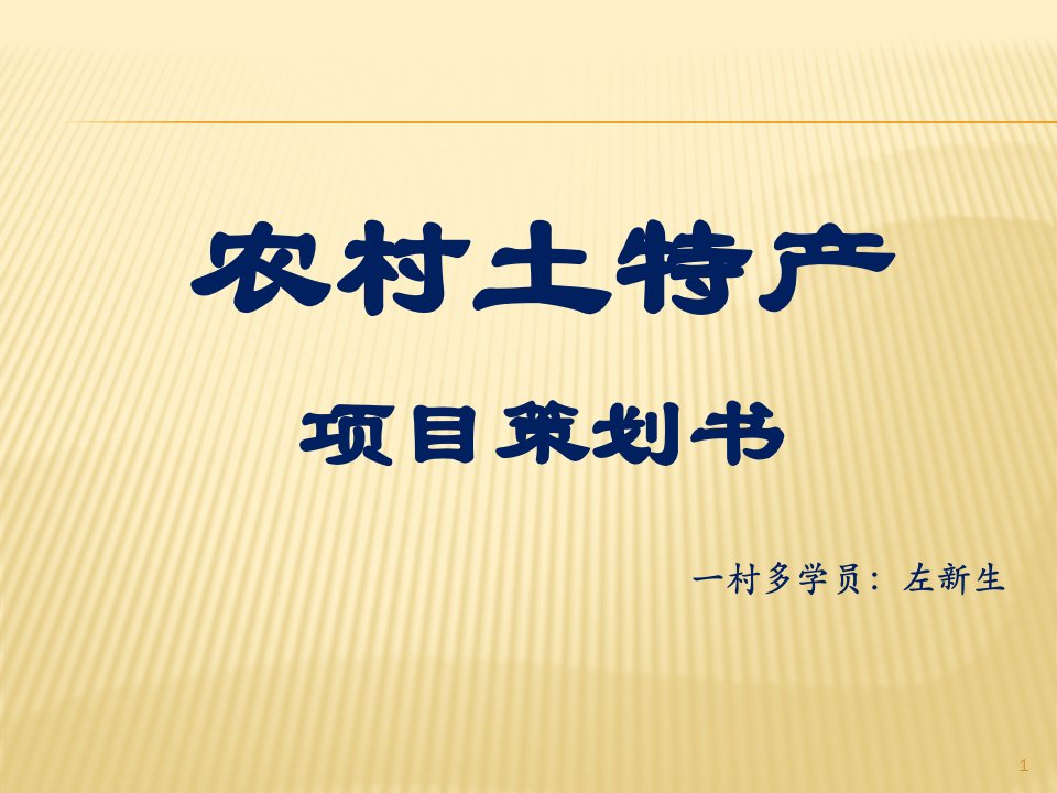 农村土特产创业项目策划书PPT演示课件