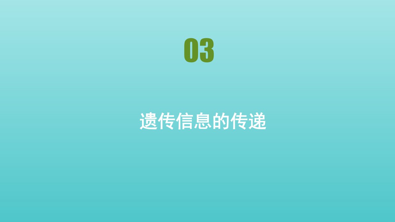 高中生物第三章遗传的分子基础第三节遗传信息的传递课件浙科版必修2