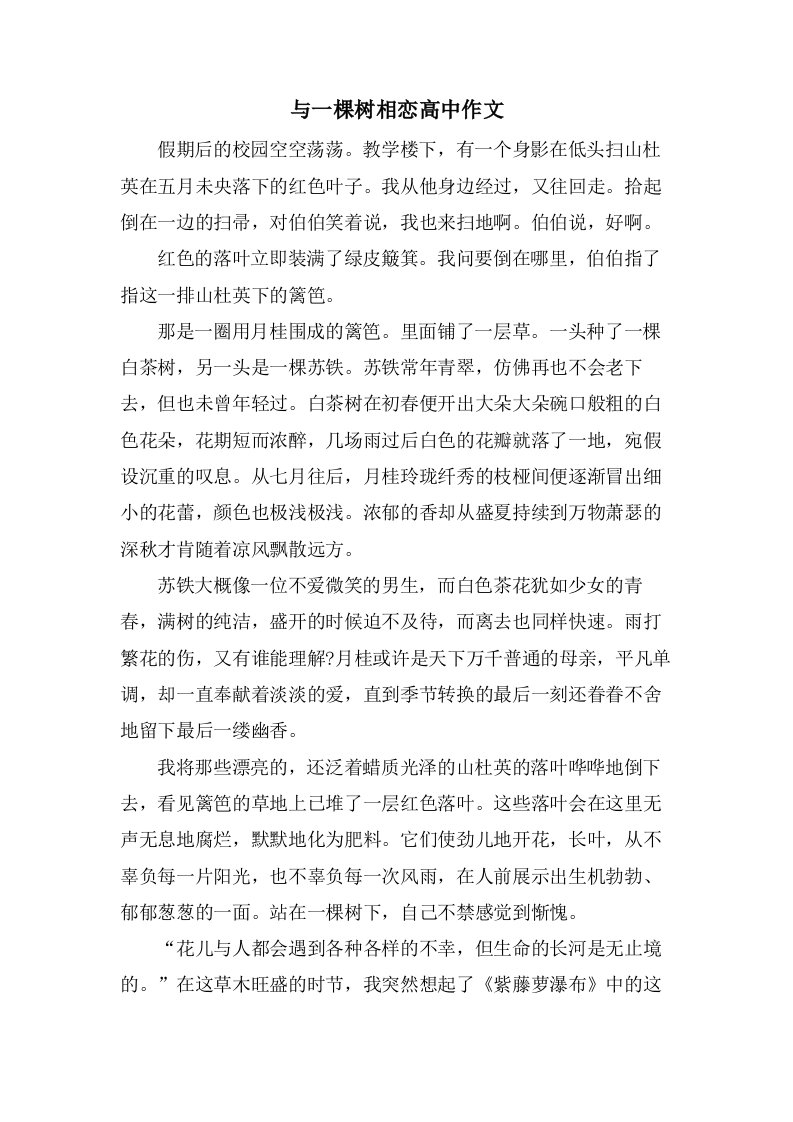 与一棵树相恋高中作文