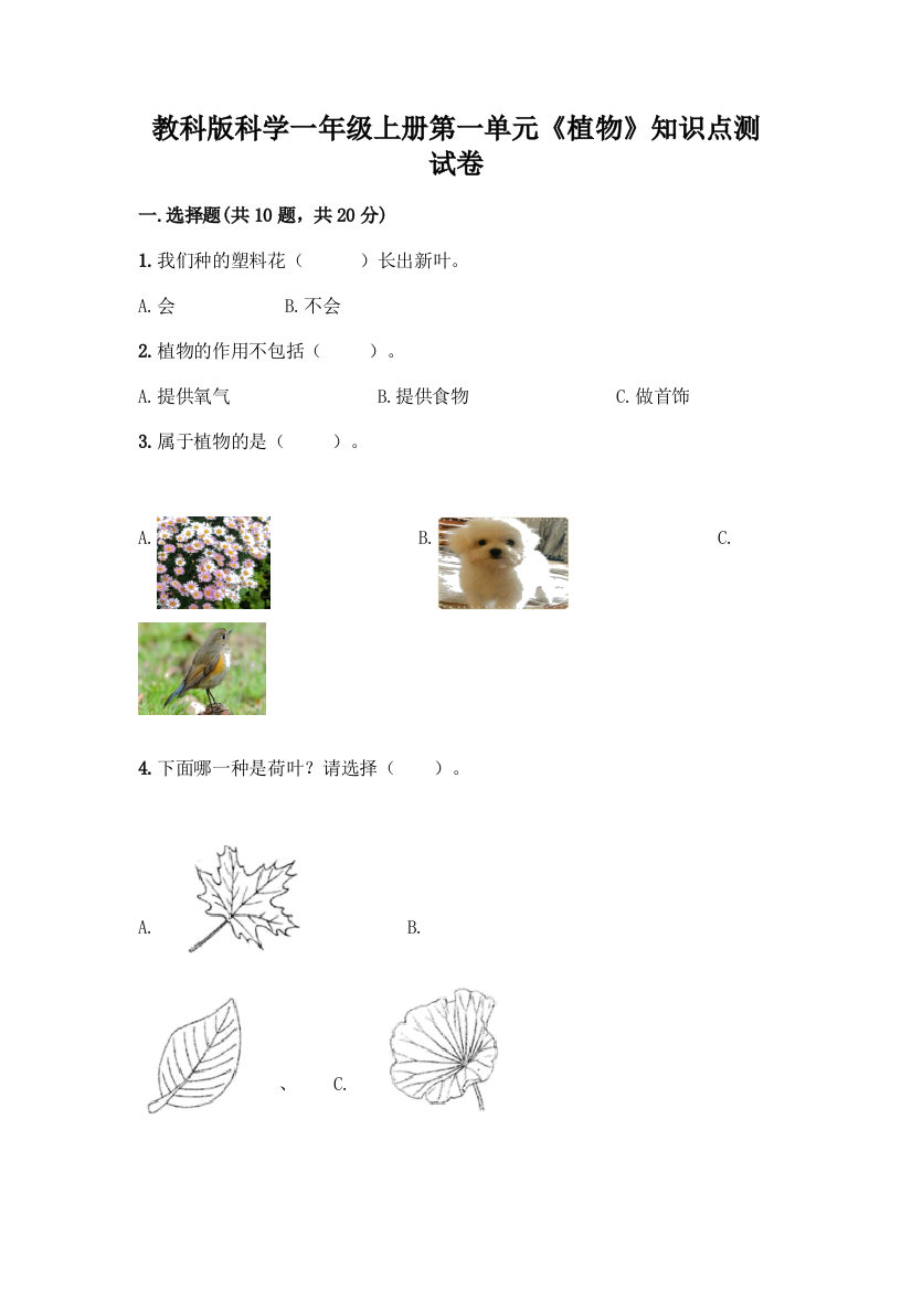 教科版科学一年级上册第一单元《植物》知识点测试卷附完整答案【夺冠】