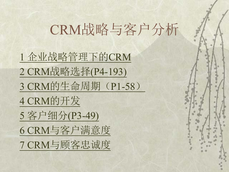 CRM战略与客户分析(ppt32)