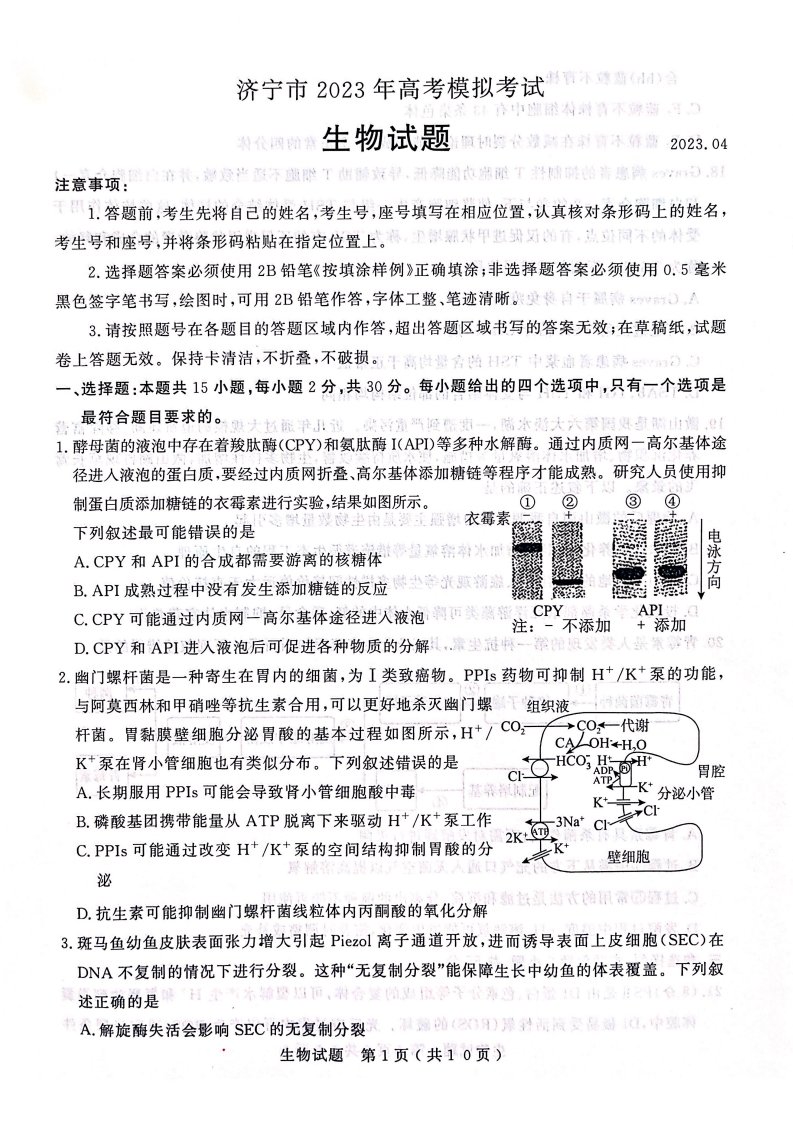 山东省济宁市2023届高三下学期二模生物试卷+答案