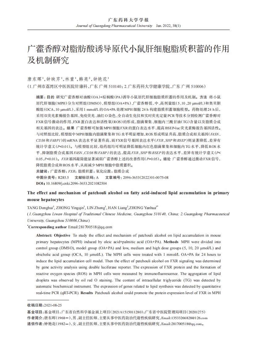 广藿香醇对脂肪酸诱导原代小鼠肝细胞脂质积蓄的作用及机制研究