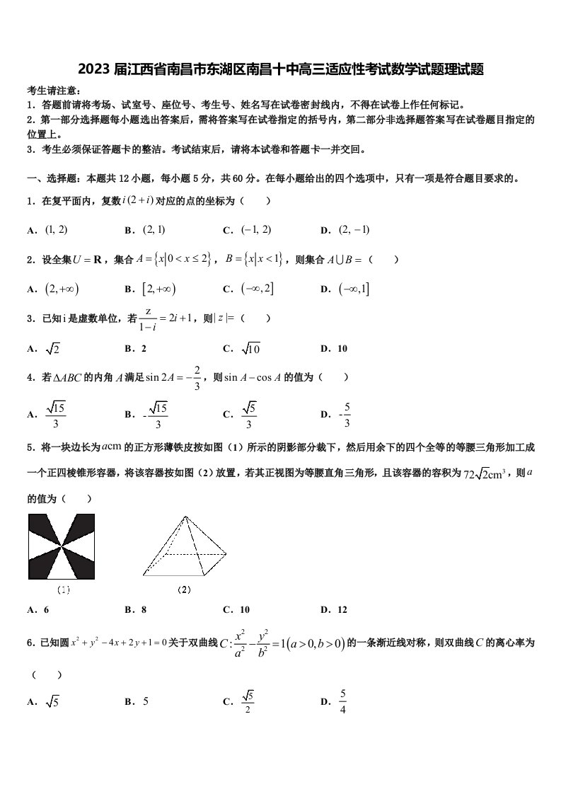 2023届江西省南昌市东湖区南昌十中高三适应性考试数学试题理试题含解析