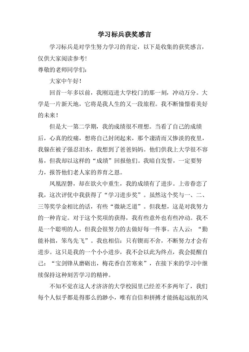 学习标兵获奖感言