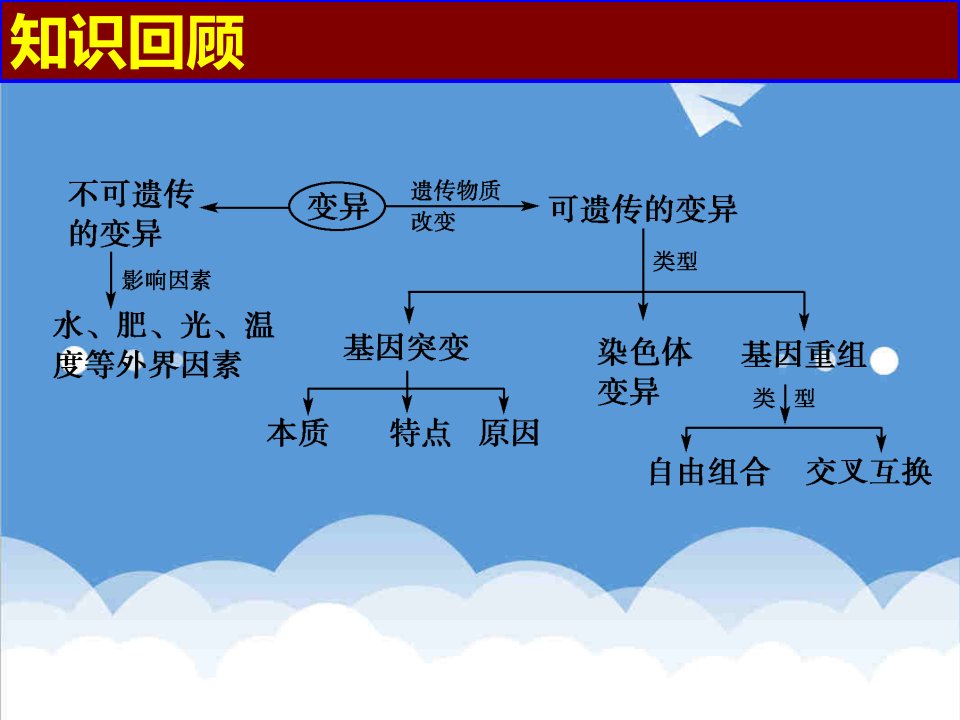 并购重组-231基因突变和基因重组