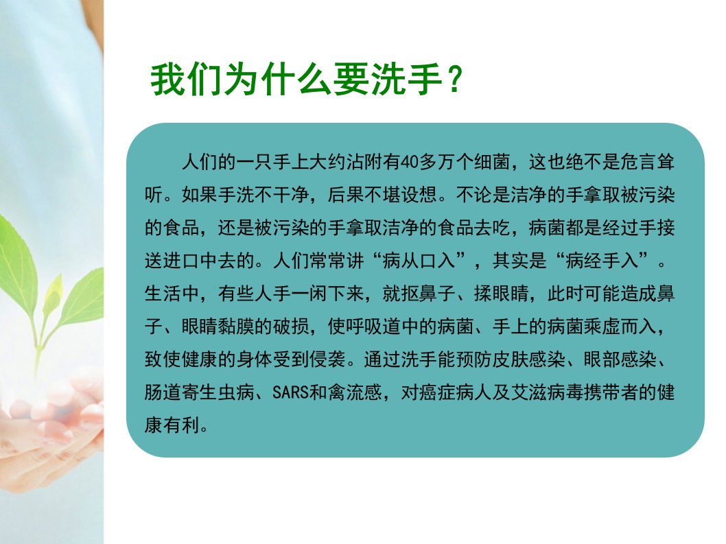 正确洗手ppt课件