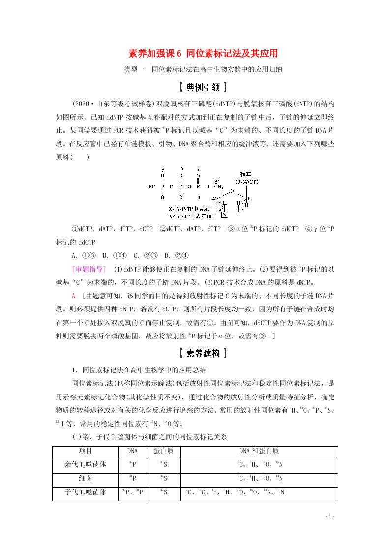 2022版高考生物一轮复习第6单元遗传的分子基础素养加强课6同位素标记法及其应用教案苏教版必修2