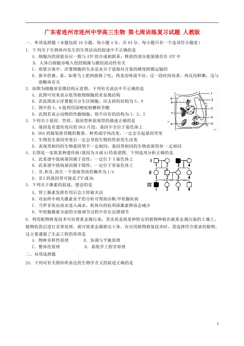 广东省连州市连州中学高三生物