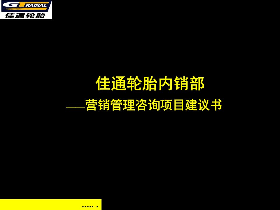 佳通轮胎内销部项目建议书