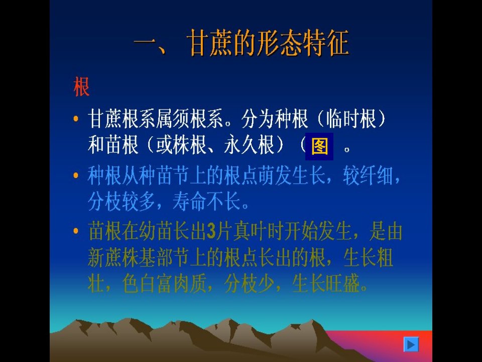 甘蔗的形态特征