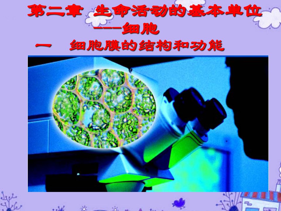 高三生物一轮复习细胞膜的结构和功能ppt课件