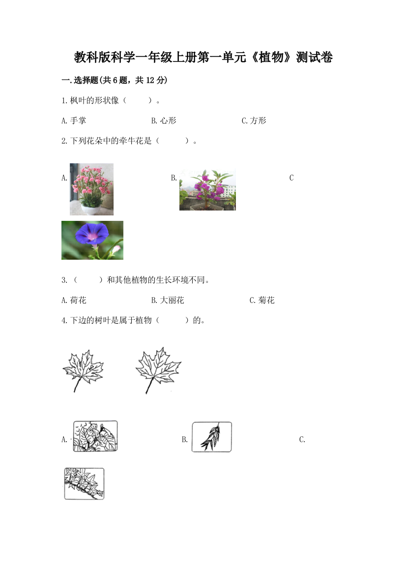 教科版科学一年级上册第一单元《植物》测试卷a4版