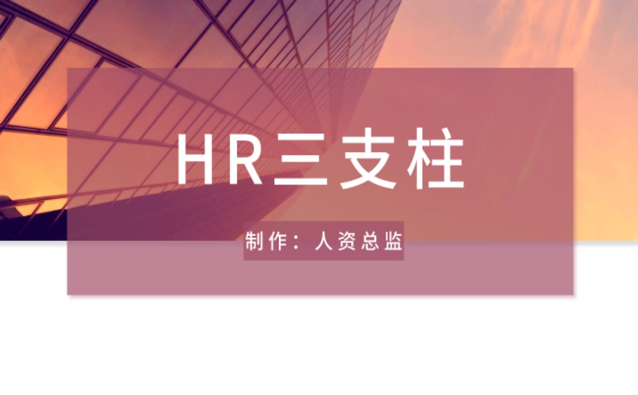 精品文档-HR三支柱