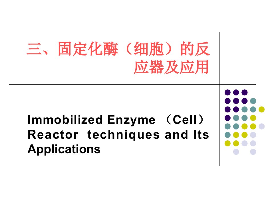 《固定化酶反应器》PPT课件