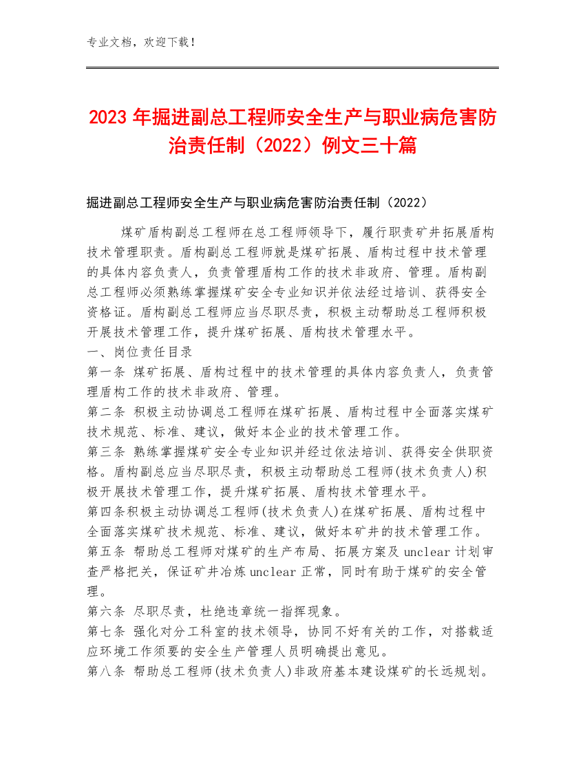 2023年掘进副总工程师安全生产与职业病危害防治责任制（2022）例文三十篇