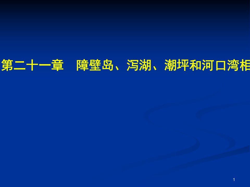 21障壁岛潮坪相