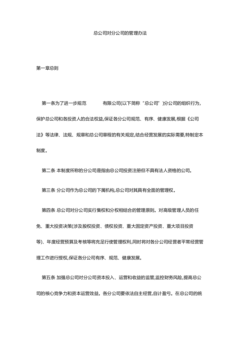 集团对分公司的管理制度