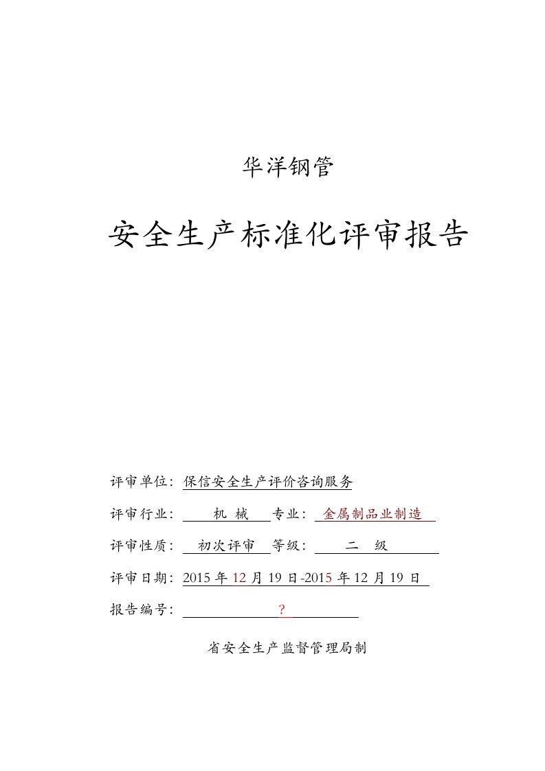 安全标准化二级企业评审报告（模板）