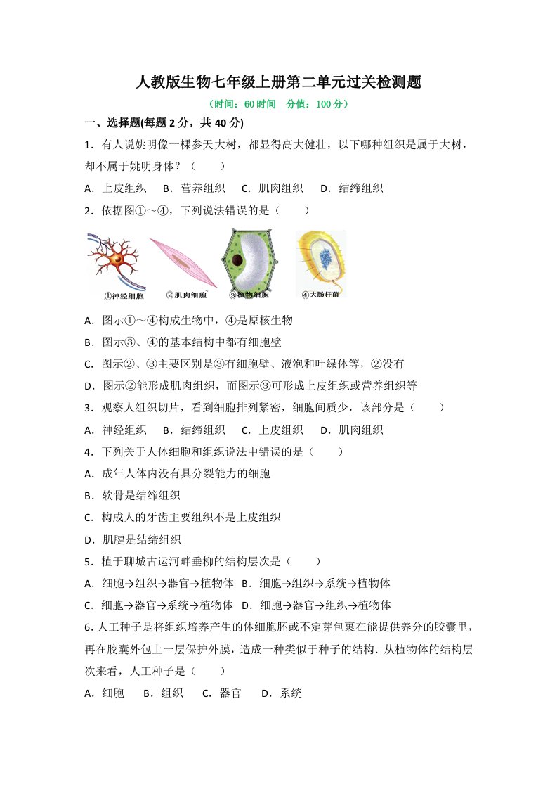 人教版生物七年级上册第二单元过关检测题及答案