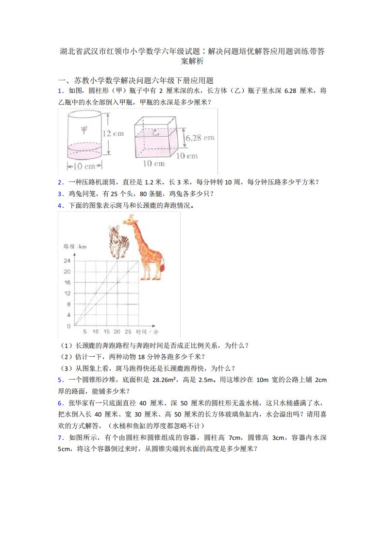 湖北省武汉市红领巾小学数学六年级试题∶解决问题培优解答应用题训练