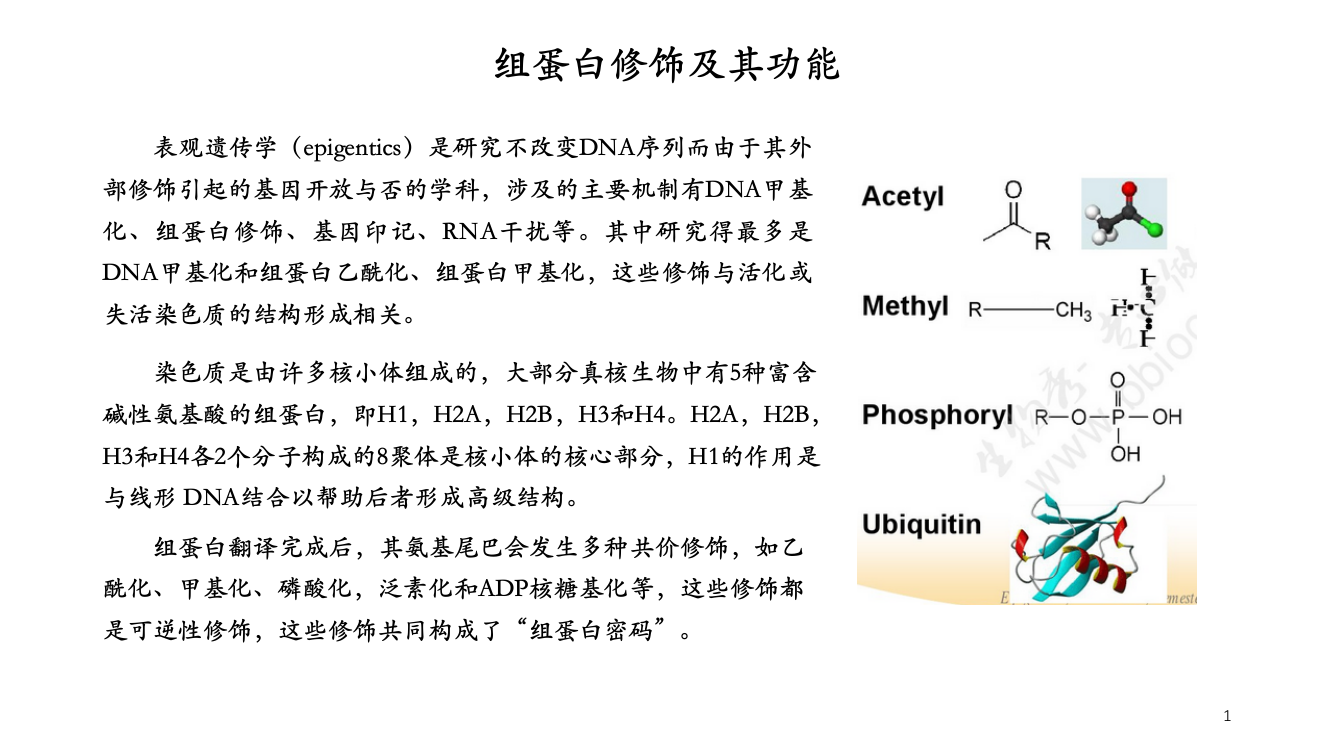 组蛋白修饰及其功能乙酰化甲基化磷酸化等于凯ppt课件