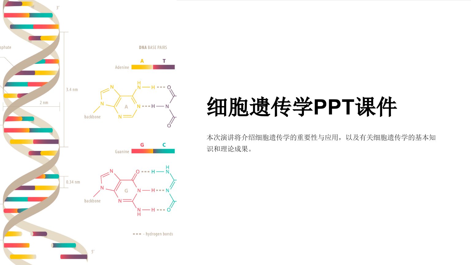 《细胞遗传学》课件