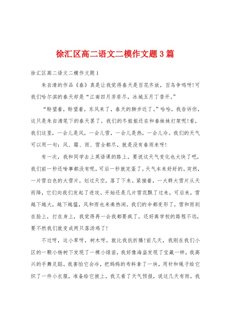 徐汇区高二语文二模作文题3篇