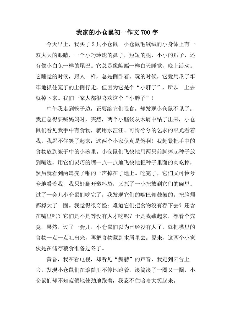 我家的小仓鼠初一作文700字