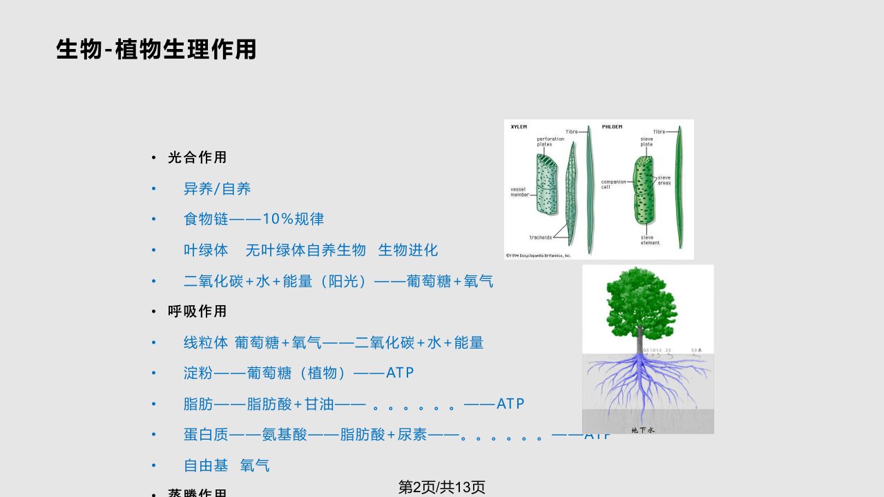 教师招聘考试百科知识大全