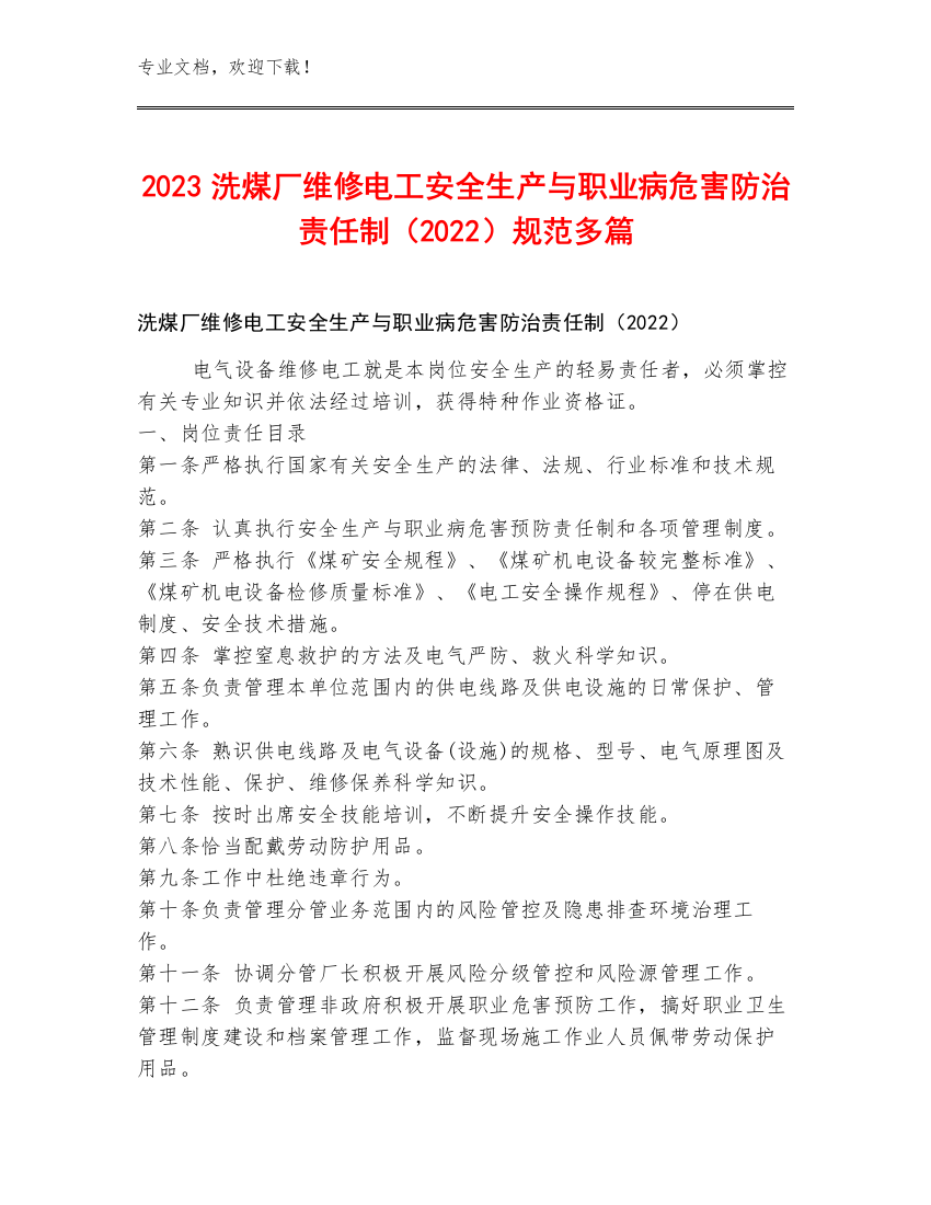 2023洗煤厂维修电工安全生产与职业病危害防治责任制（2022）规范多篇