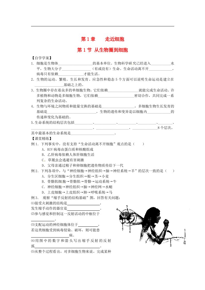 人教版高中生物必修1学案及答案（全册）