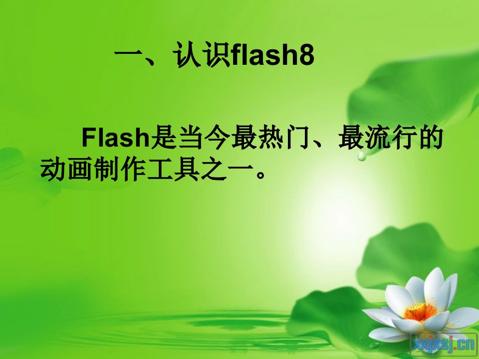 flash8课件(上课)幻灯片