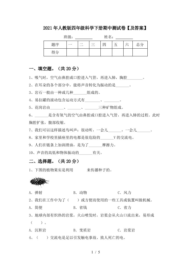 2021年人教版四年级科学下册期中测试卷及答案