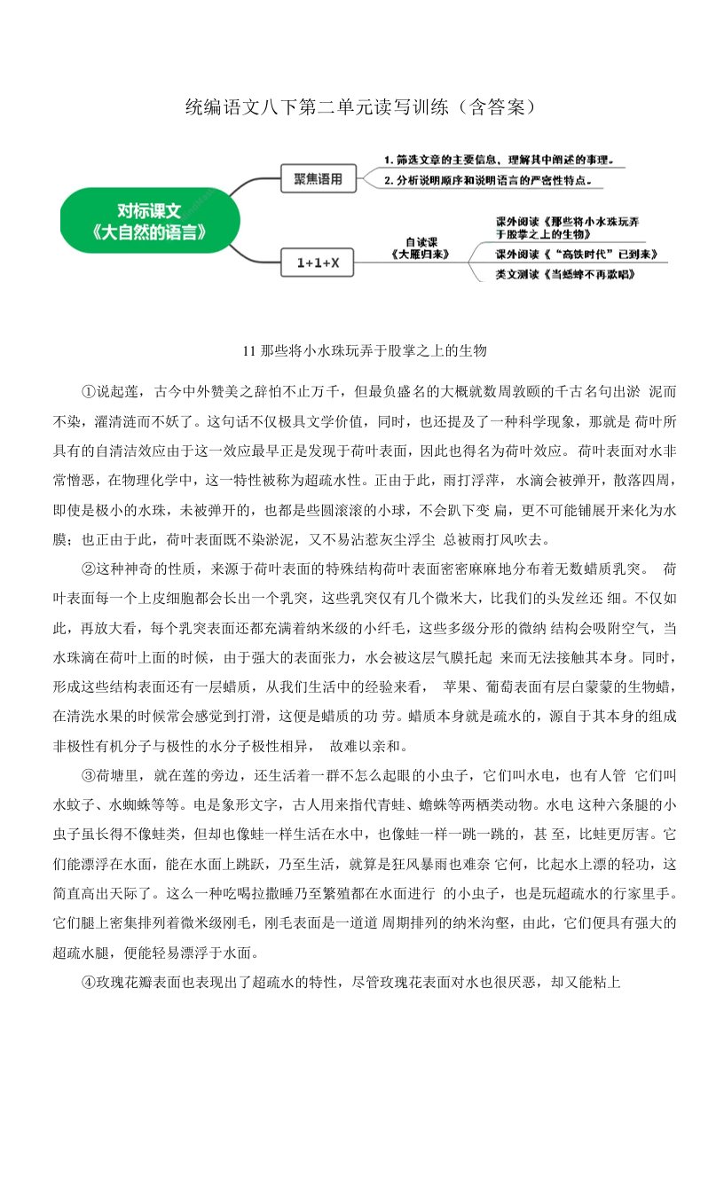 八年级语文下册第二单元读写训练（含答案）教学必备资料