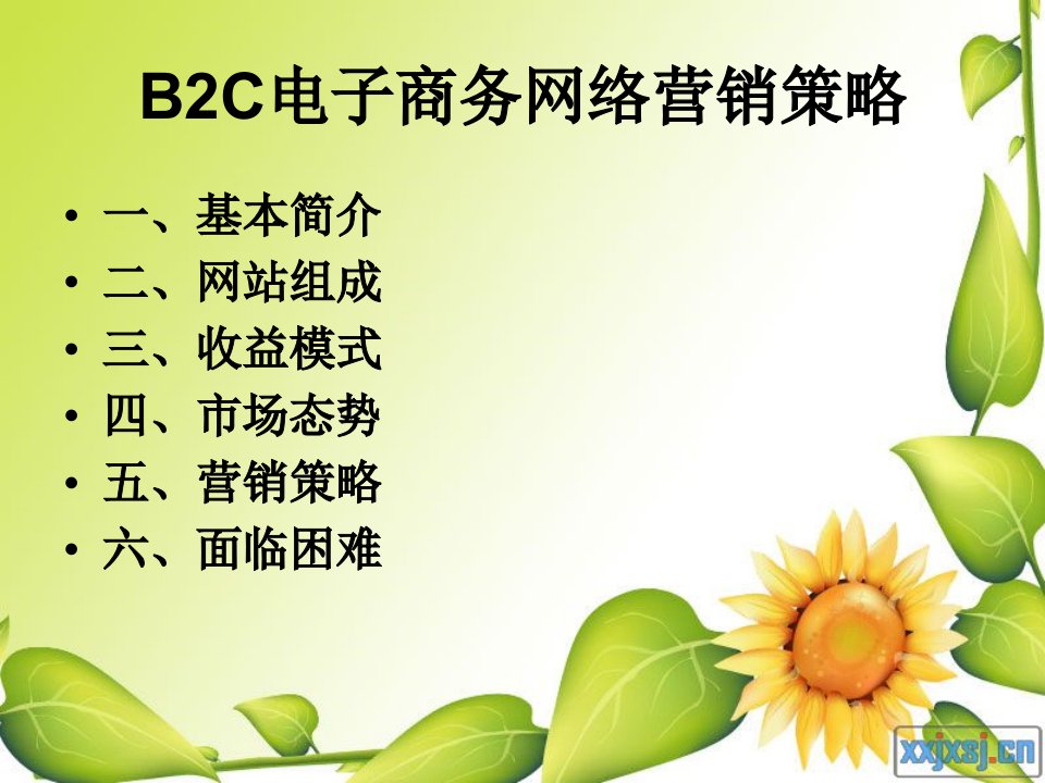 最新B2C电子商务网络营销策略PPT课件