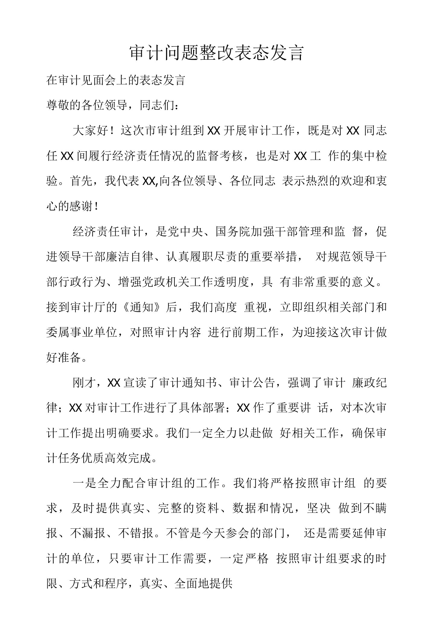 审计问题整改表态发言