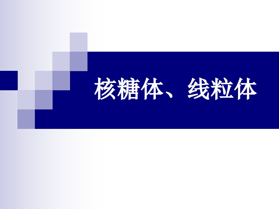 《核糖体、线粒体》PPT课件