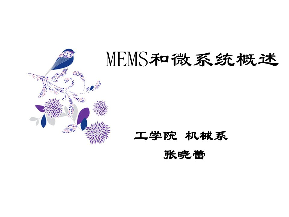 MEMS和微系统概述幻灯片课件