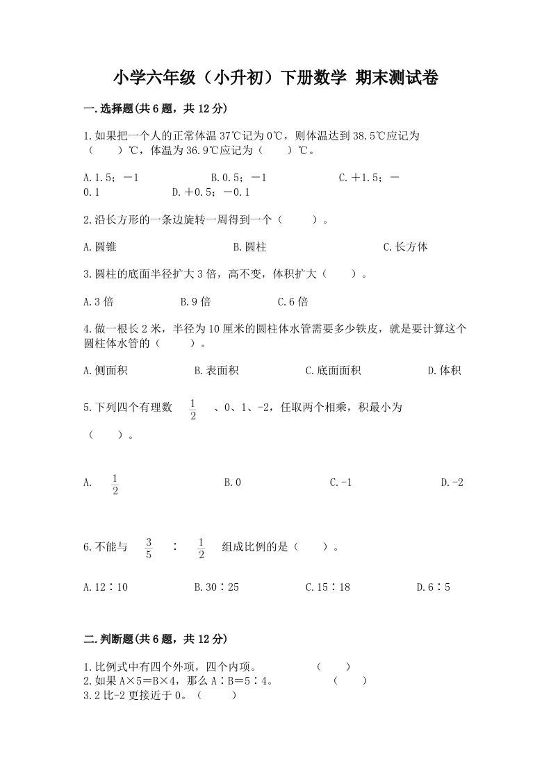 小学六年级（小升初）下册数学